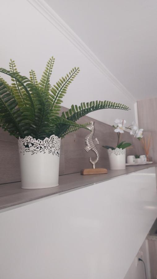 Apartamento Margarita Con Piscina En Playa Honda, Playa Las Americas Arona  Zewnętrze zdjęcie