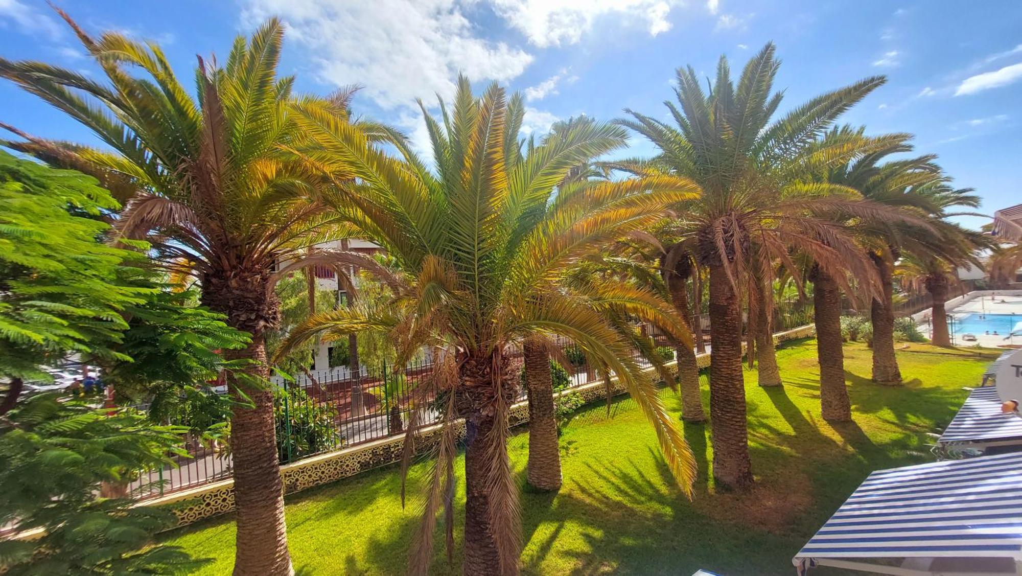 Apartamento Margarita Con Piscina En Playa Honda, Playa Las Americas Arona  Zewnętrze zdjęcie